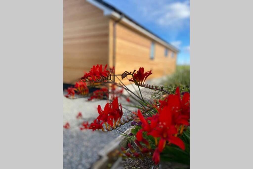The Gallafield, Self Catering Bungalow , Stornoway Stornoway  Eksteriør bilde